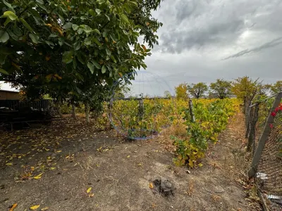 CASA DE VANZARE ODOBESTI (ZONA DE VILE) - foto 6