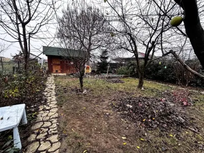Casa cu grădina - Cartierul Nou - foto 14