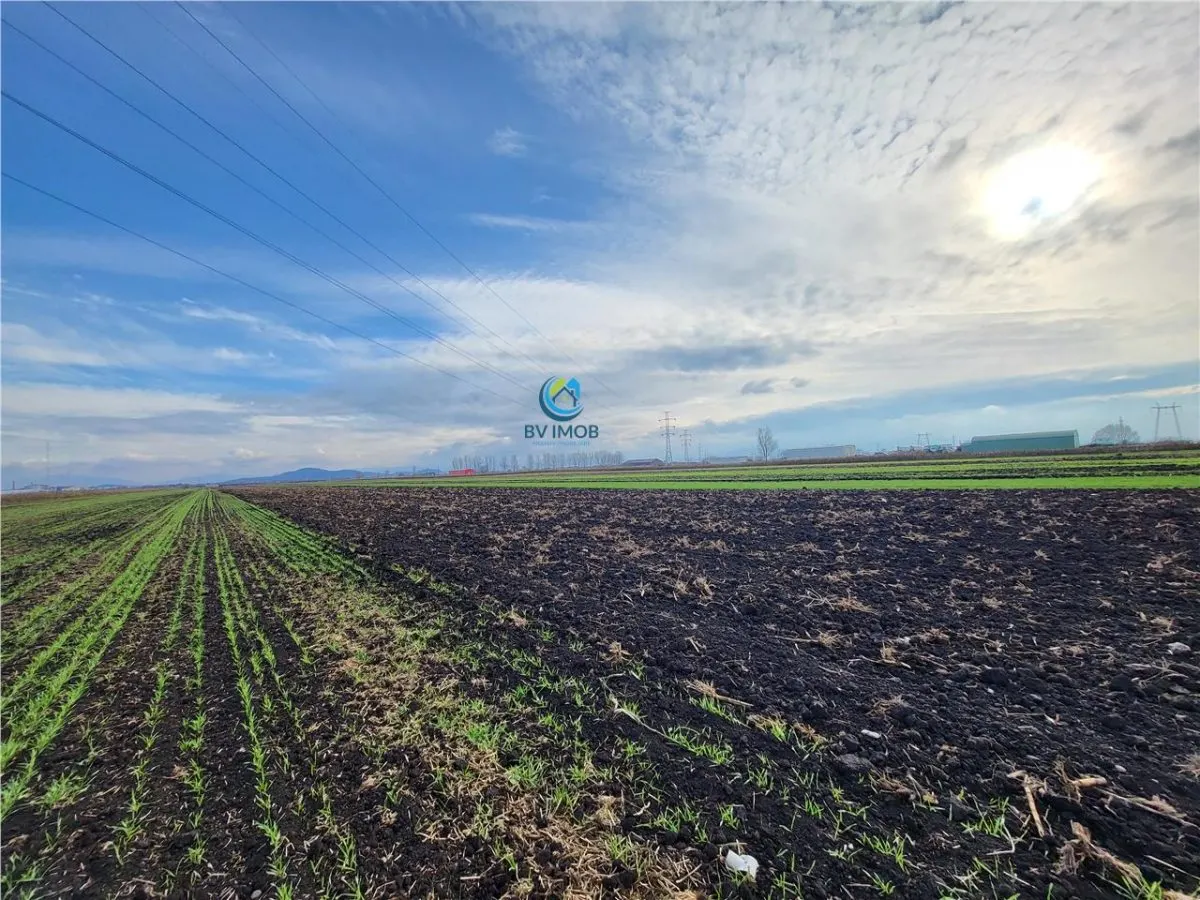 Vanzare Teren pretabil constructie hale, 28.100 mp, Halchiu - foto 7