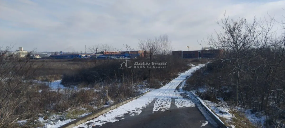 Teren intravilan 4654mp de vanzare Dedeman - foto 4