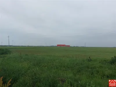Teren extravilan sos. Arad - Sofronea - foto 3