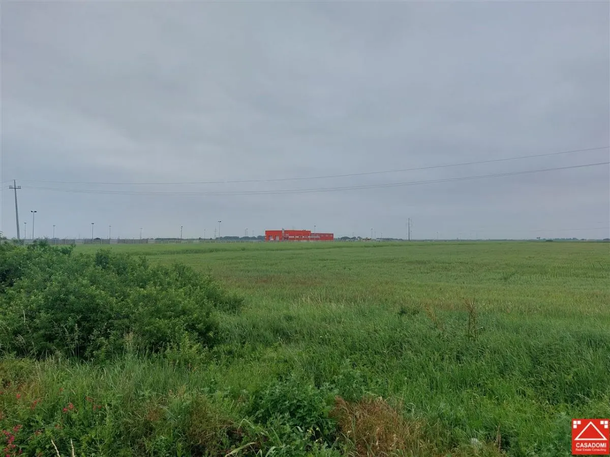 Teren extravilan sos. Arad - Sofronea - foto 4