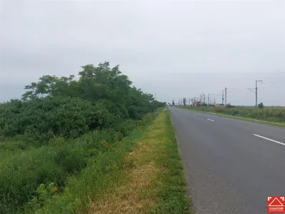 Teren extravilan sos. Arad - Sofronea - foto 6