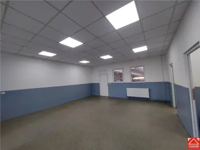 Hala cu pod rulant, de vanzare sau de inchiriat, in Zona Industriala de vest! - foto 9