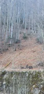 De vanzare teren intravilan AZUGA - foto 11