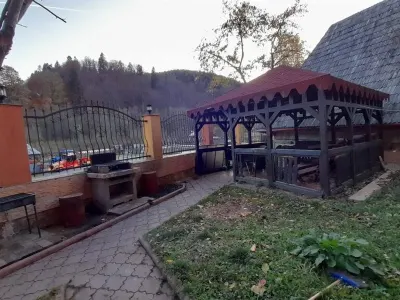 Vila de LUX de vanzare in SINAIA - foto 4