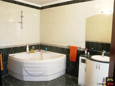 Vila individuala D+P+E+M  / Erou Iancu Nicolae - foto 5