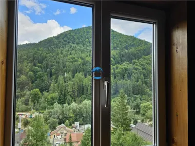 Vila de vanzare in SINAIA - foto 17