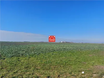 Teren arabil, zona Turnu - foto 4