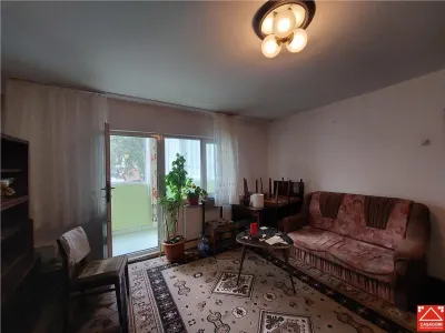 Apartament parter, Micalaca, pretabil birou sau cabinet - foto 2