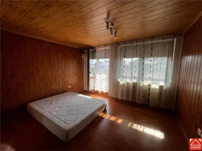 Casa P+M cu anexe in Vladimirescu - foto 6