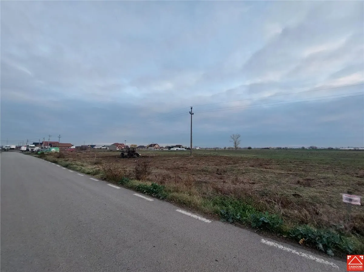Teren pentru proiect rezidential sau industrial in Sanpaul - foto 4
