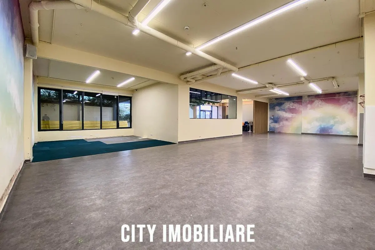 Spatiu comercial 250 mp + terasa 50 mp, Grigorescu, Parter, Ideal HoReCa / Showroom - foto 15