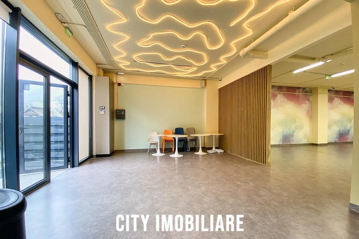 Spatiu comercial 250 mp + terasa 50 mp, Grigorescu, Parter, Ideal HoReCa / Showroom - foto 10