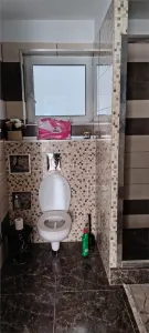 Casa 7 camere de vanzare/ inchiriat Gimnaziului finisaje premium - foto 5