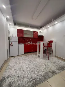 Studio elegant, Ardeleni, Demisol, 10 min Metrou Obor - foto 4