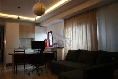 APARTAMENT 2 CAM,  PIATA IANCULUI - foto 7