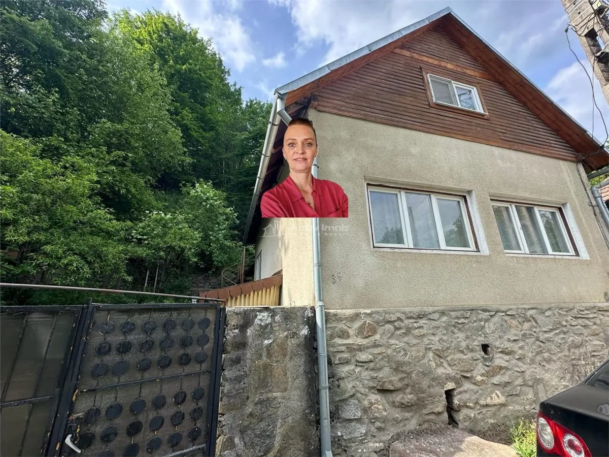 Casa Cocheta de vacanta, Com. Dognecea - foto 1