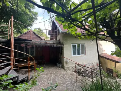 Casa Cocheta de vacanta, Com. Dognecea - foto 18
