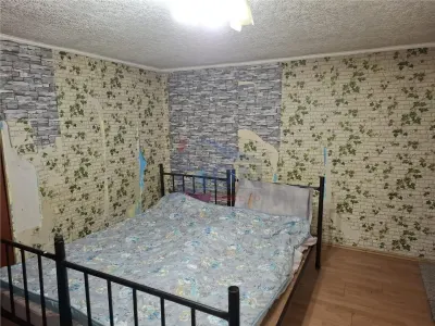 Pantelimon Biruintei  - Tuborg - foto 4