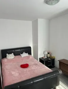 2 camere semidecomandat - mobilat - Tineretului - Sincai - metrou 5 minute - foto 6