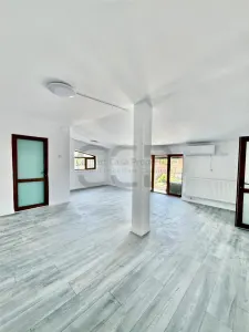 Timpuri Noi metrou, Splaiul Unirii , Vila P+2+M, NEMOBILATA, pretabila BIROURI - foto 7
