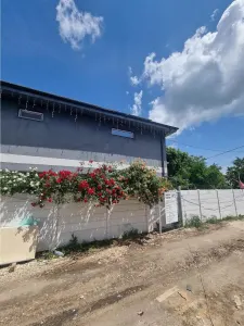 Case INDIVIDUALE constructii Noi Alexandria  suprafata  130 mp - foto 5