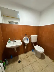 Oportunitate - Spatiu comercial  P+1 - foto 8