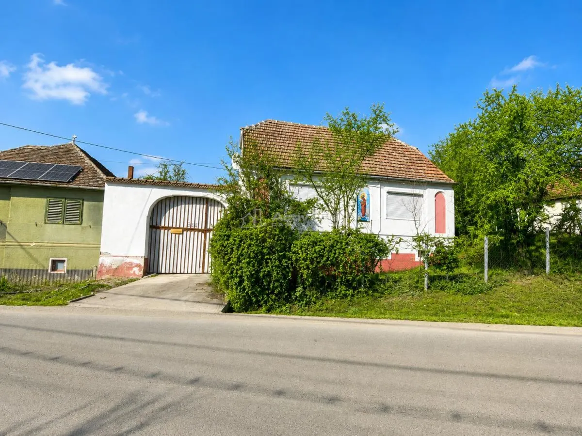 Casa generoasa de vanzare la tara - foto 1