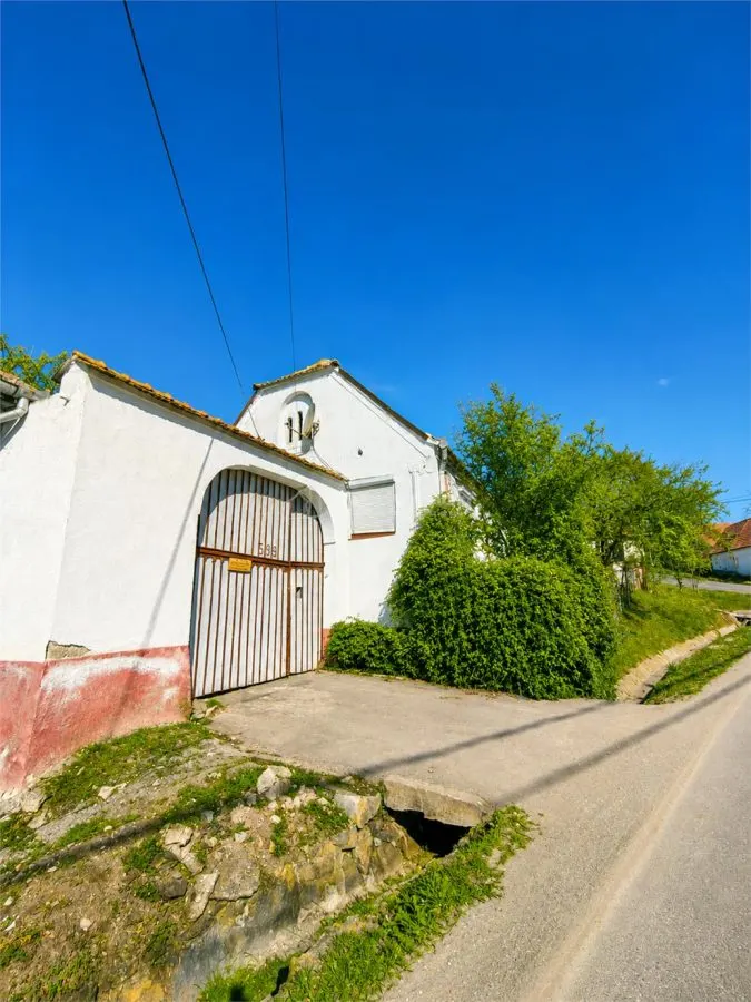 Casa generoasa de vanzare la tara - foto 2