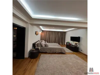 Vila eleganta S+P+1+M - Pipera / Drumul negru / 1170mp teren - foto 16