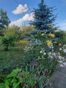 Pensiune cu teren de 5.700 mp, Runcu - Cheile Sohodolului - foto 9