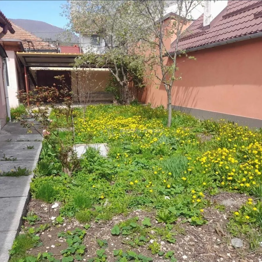 Casa - 3 camere - Codlea - foto 1