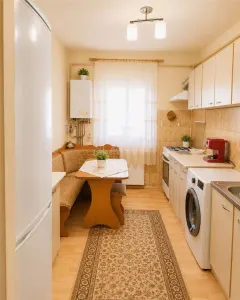 Ulmeni Apartament 3 Camere Etaj 1 cu garaj si boxa - foto 2