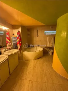 Armeneasca, Vila individuala, Curte comuna - foto 16