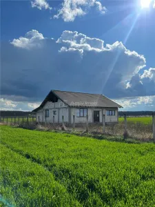 Casa Miersig - Oportunitate locuinta sau afacere cu fonduri europene - foto 3