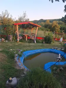 Casa parter - Comana Giurgiu - 4 camere - baie - 118mp - 600mp teren - foto 18