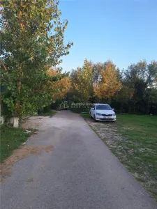 Casa parter - Comana Giurgiu - 4 camere - baie - 118mp - 600mp teren - foto 20