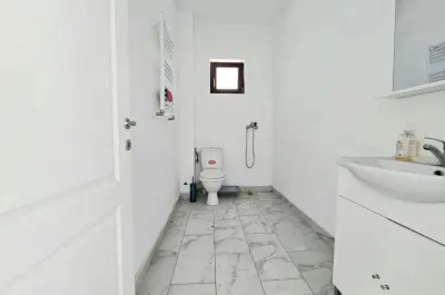 INCHIRIERE Spatiu comercial Lunca Cetatuii - foto 6