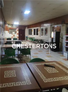 Vila individuala cu piscina si spatiu comercial | Dristor - Fizicienilor - foto 11