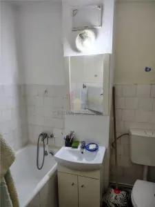 1 camera Mobilat si Utilat, etaj 1, Dorobanti- Plantelor - foto 6