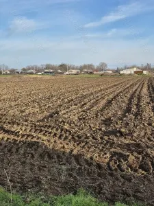 Teren Chiscani, extravilan cu posibilitate trecere in intravilan, Suprafata 3000 mp, deschidere 100 m - Chiscani