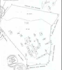 Teren Investitii Murighiol - foto 3
