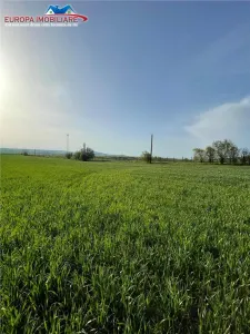 Ferma de vanzare in localitatea Bestepe - foto 25