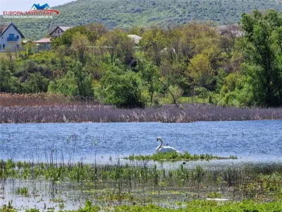 Teren cu deschidere la lac de vanzare in localitatea Somova Tulcea - foto 3