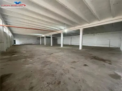 Hale de inchiriat zona Prislav Tulcea - Tulcea