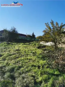 Teren de vanzare in Nifon Tulcea - foto 4