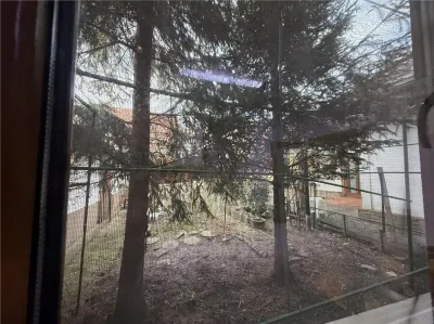 CASA INDIVIDUALA MOARA DE VANT S+P+M BECI GARAJ - foto 21