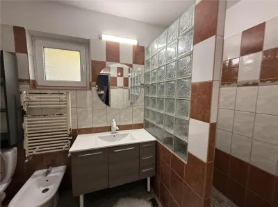 CASA INDIVIDUALA MOARA DE VANT S+P+M BECI GARAJ - foto 8