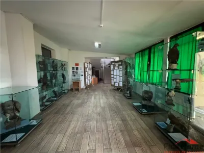 Cladire cu un aspect aparte de inchiriat in Centrul Focsaniului - foto 21